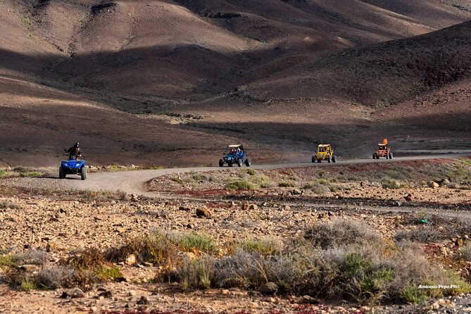 Buggy Safari in Caleta De Fuste - Confirmation and Additional Details