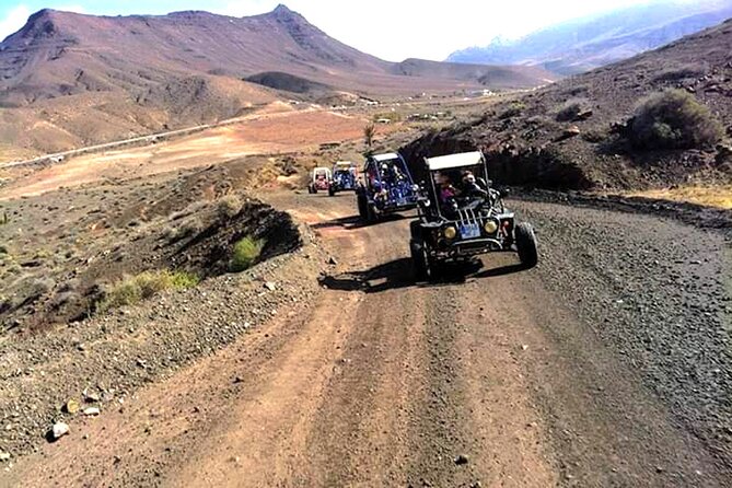 Buggy Safari In Costa Calma - Pricing and Booking Details