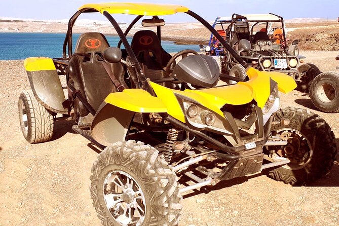 Buggy Safari In Costa Calma - Availability and Flexibility