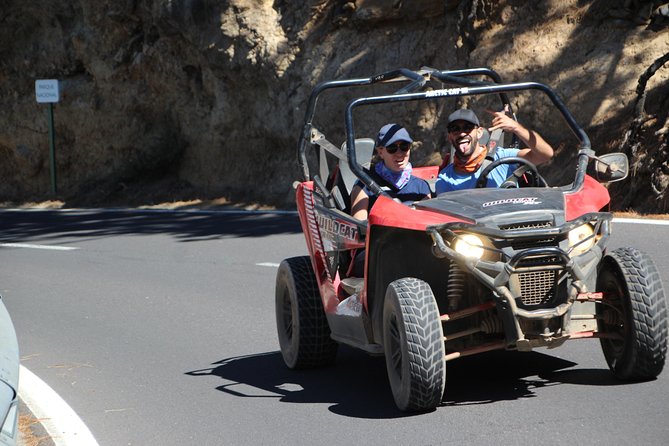 Buggy Safari Teide National Park - Overview of the Tour