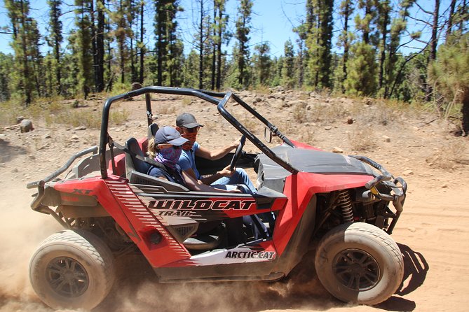 Buggy Safari Teide National Park - Participants and Restrictions