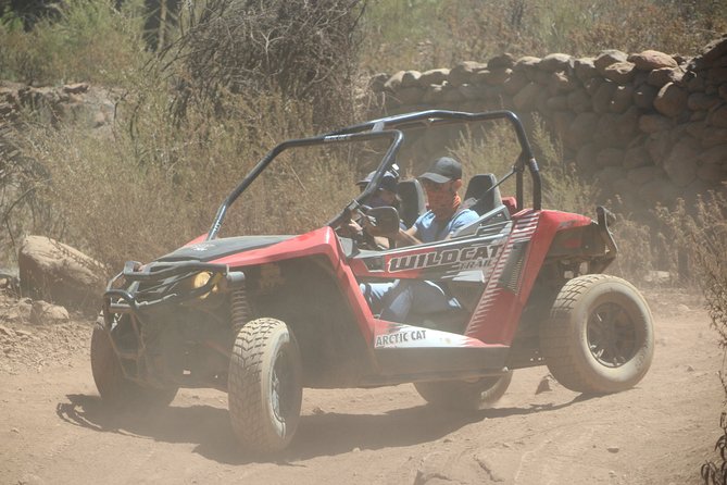 Buggy Safari Teide National Park - Inclusions and Amenities