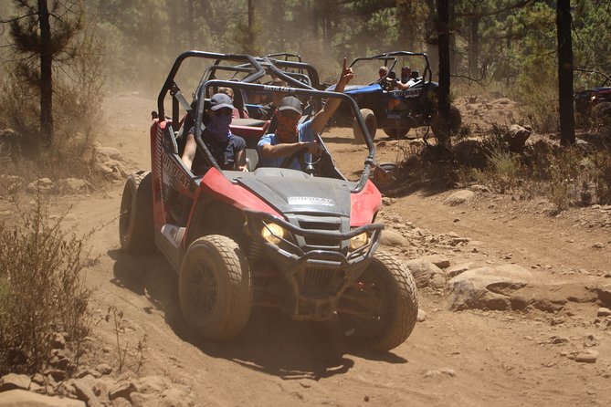 Buggy Safari Teide National Park - Customer Feedback and Ratings