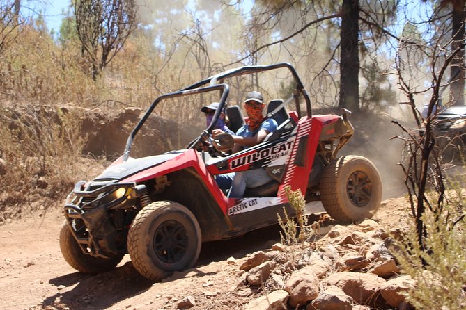 Buggy Safari Teide National Park - Recap