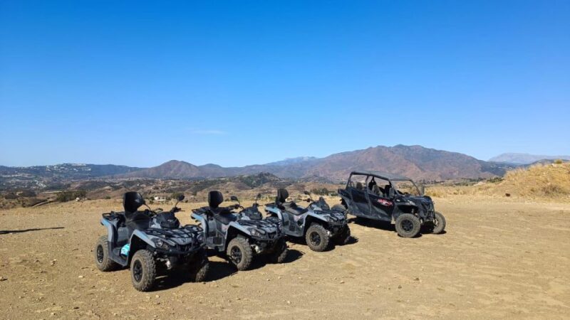 Buggy Tour 1 Hour 4-Seater - Pricing and Inclusions