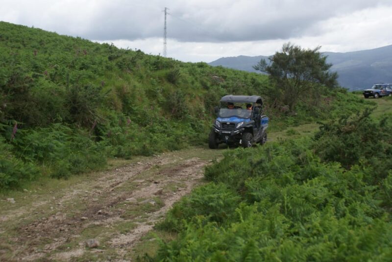 Buggy Tour - Key Points