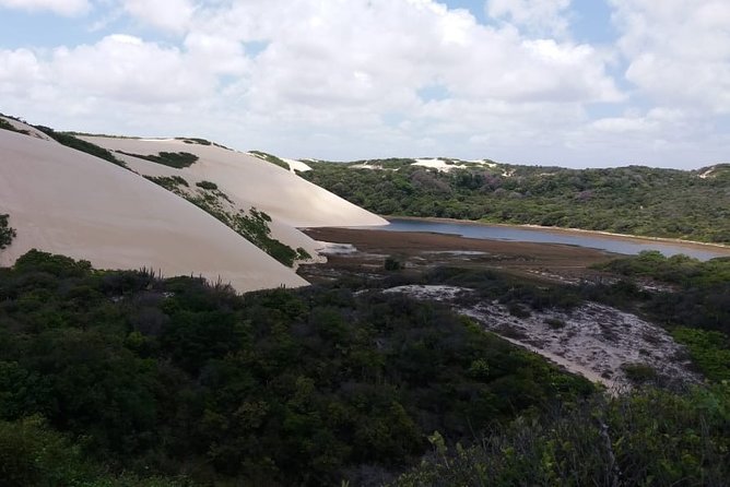 Buggy Tour Along the North Coast (Genipabu) - Inclusisions and Schedule
