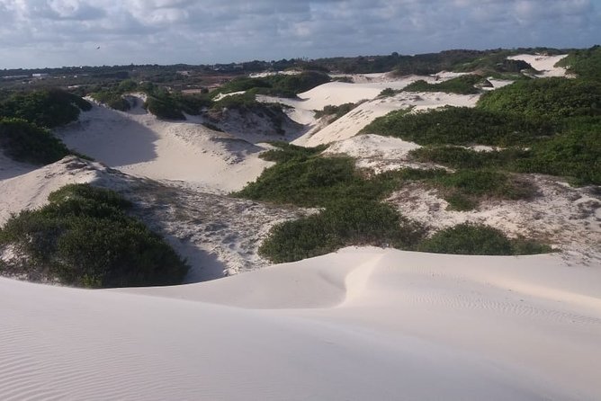 Buggy Tour Along the North Coast (Genipabu) - Accessibility and Health Recommendations