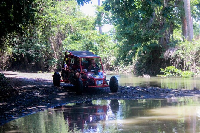 Buggy Tour Excursion in Taino Bay and Amber Cove Port - Booking and Cancellation Policy