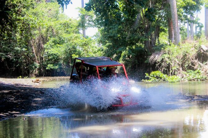 Buggy Tour Excursion in Taino Bay and Amber Cove Port - Booking Your Stay