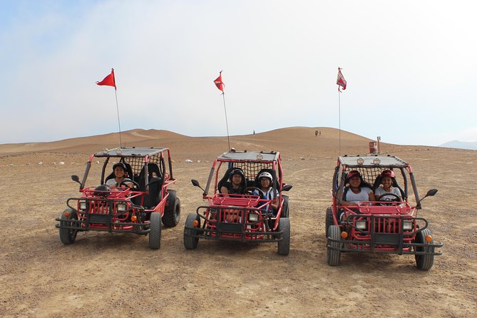 Buggy Tour Paracas National Reserve - Safety Considerations