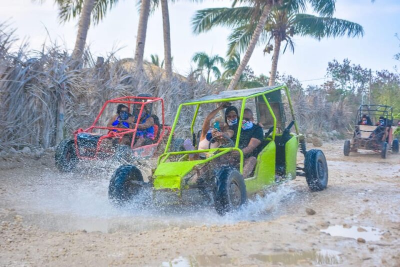 Buggy Tour Punta Cana Macao Beach and Taino Cave Guided - Itinerary and Activities