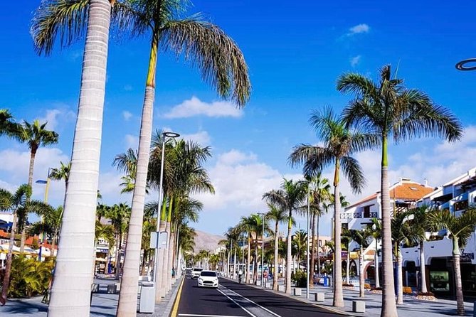 Buggy Tour South Coast of Tenerife With Off-Road - Guided Tour Highlights