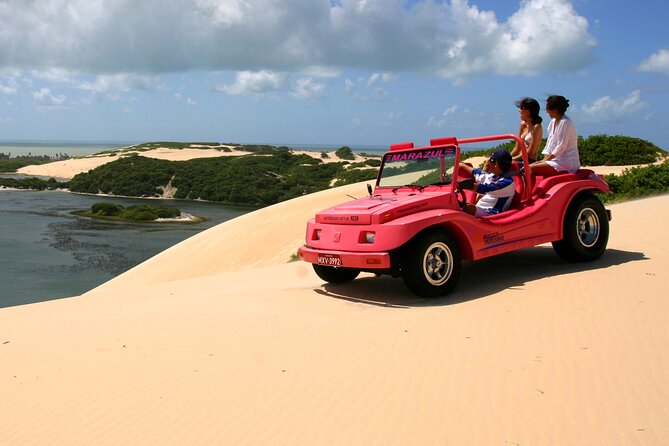 Buggy Tour To Genipabu - Adventure Through Rugged Landscapes