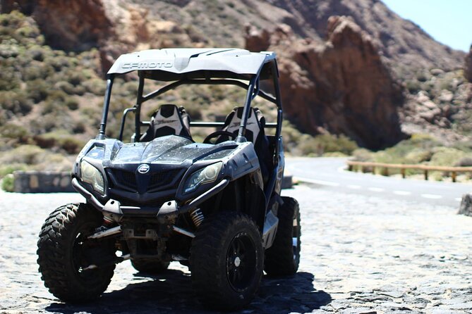 Buggy Tour Volcano Teide By Day in Teide National Park - Experienced Tour Guide