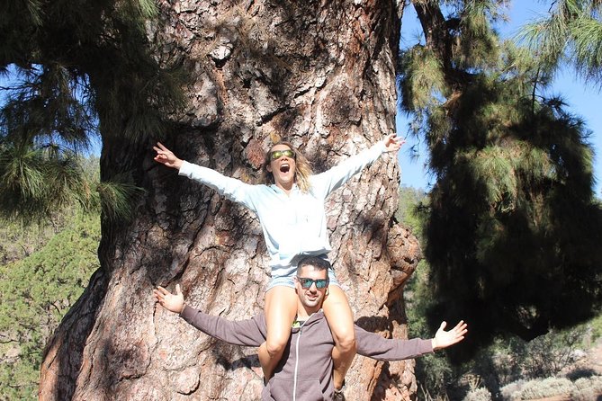 BUGGY TOUR VOLCANO TEIDE With Wine Degustation - Reviews and Feedback
