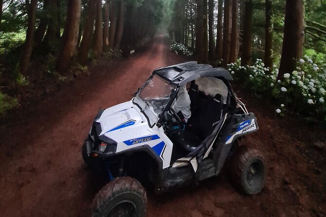 BUGGY TOUR - West / Center of the Island (Off-Road) - Meeting and Pickup Details