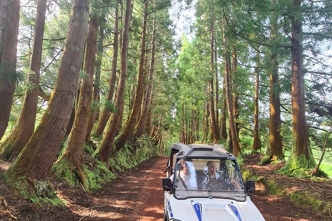 BUGGY TOUR - West / Center of the Island (Off-Road) - Tour Policies and Cancellation