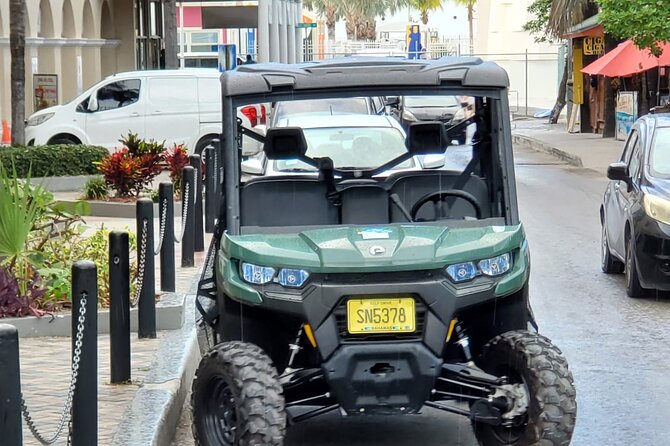 Buggy Tours, Sightseeing Tour Around City Nassau,Paradiseisland - Customer Reviews Highlights