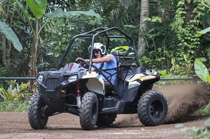 Buggy. Water Cave, Coffee, Chocolate, Cigar Test in Punta Cana - Engaging With Tour Staff