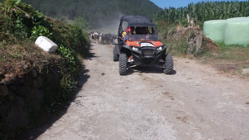 Buggy|Quad|Jeep Coast to Coast Tour (Ribeira Grande) off 4x4 - Booking and Cancellation