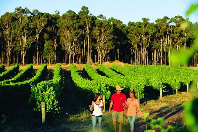 Build Your Own Unique Private Winery/Brewery Tour at the Margaret River Region - Inclusions and Amenities