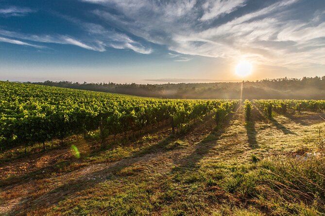 Build Your Own Unique Private Winery/Brewery Tour at the Margaret River Region - Local Guides Expertise