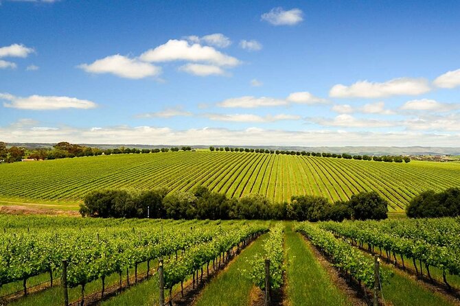 Build Your Own Unique Private Winery/Brewery Tour at the Margaret River Region - Planning for an Optimal Tour