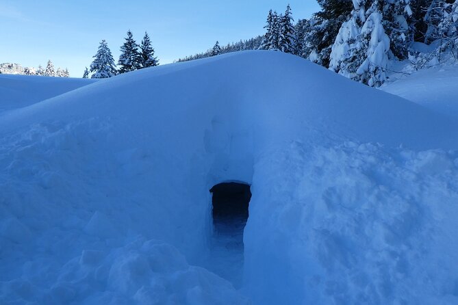 Building an Igloo? a Childs Play! - Creating Lasting Memories
