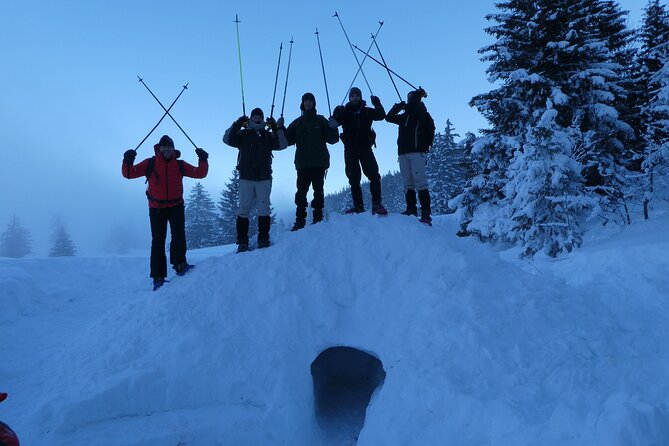 Building an Igloo? a Childs Play! - Embracing the Icy Challenge