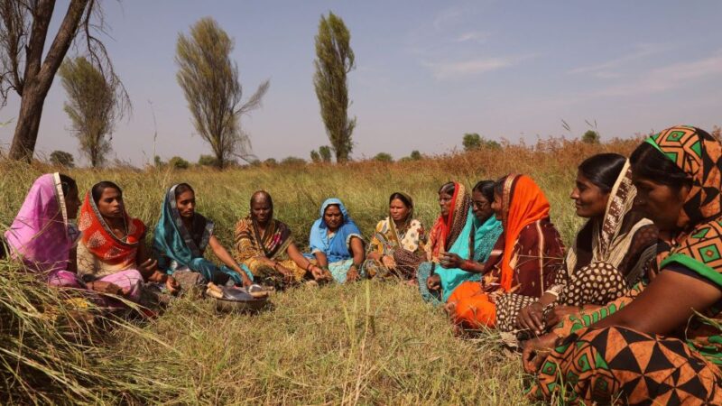 Bujra: Farm to Table at a Zen Eco-Farm Amidst The Aravallis - Interaction With Local Farmers and Artisans