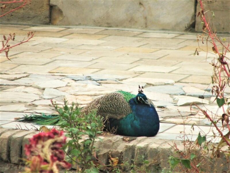 Bukhara Countryside Tour-Summer Residence & Nakshband Center - Cultural Significance