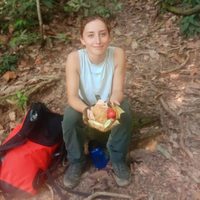 Bukit Lawang: 4-Day Orangutan Jungle Trekking Adventure - Itinerary Highlights
