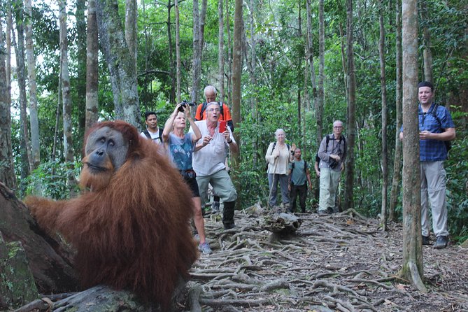 Bukit Lawang Full Day Jungle Trek - Nearby Public Transport
