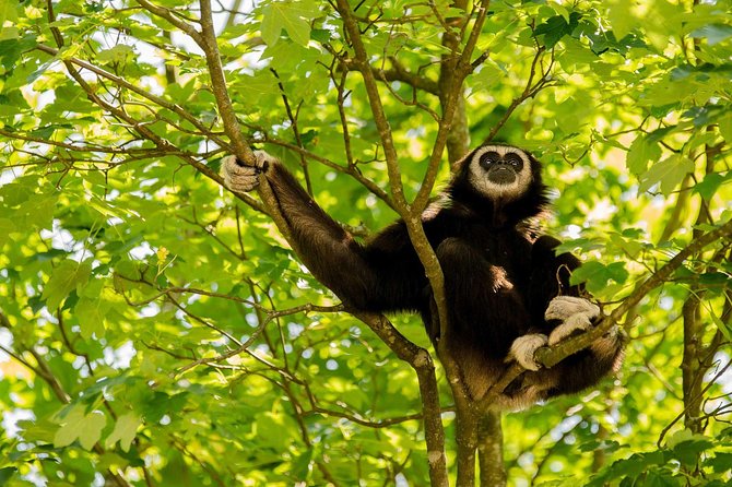 Bukit Lawang Full Day Jungle Trek - Cancellation Policy