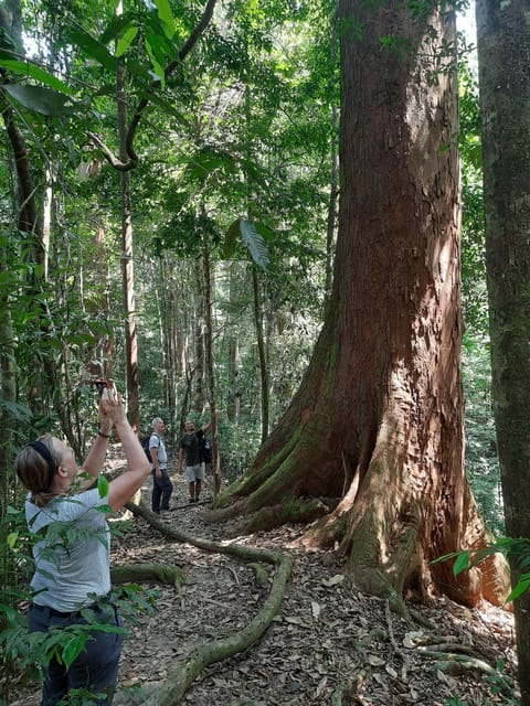 Bukit Lawang: Jungle Trekking and Rafting Day Trip - Jungle Trekking and Wildlife Viewing
