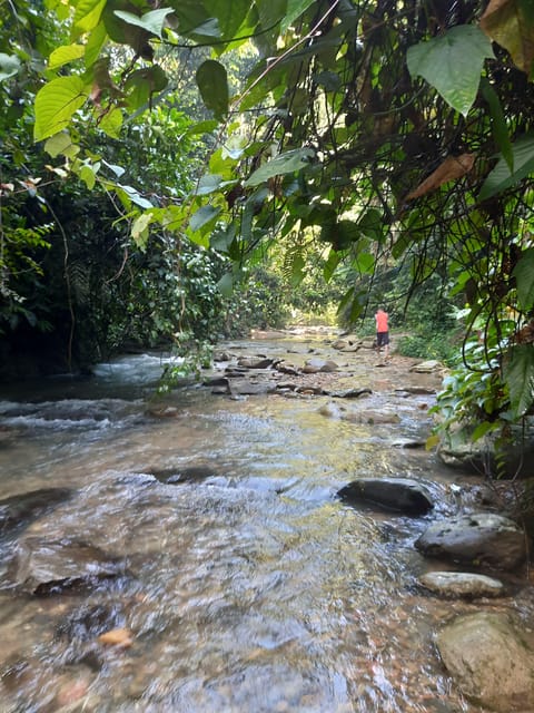 Bukit Lawang: Jungle Trekking and Rafting Day Trip - Customer Feedback and Ratings