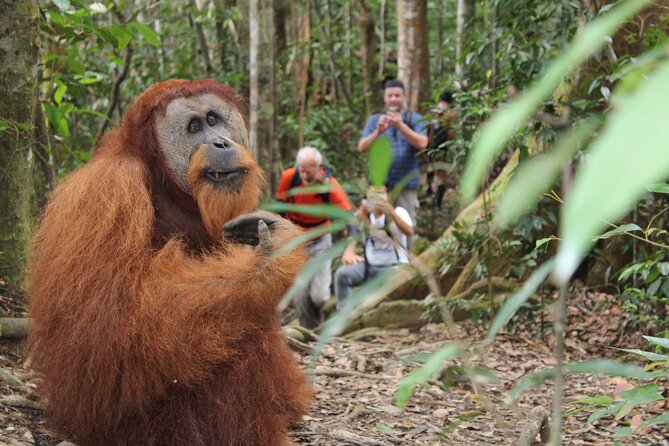 Bukit Lawang Tour 3days-2 Night Jungle Trekking Including Rafting - Tour Details and Inclusions