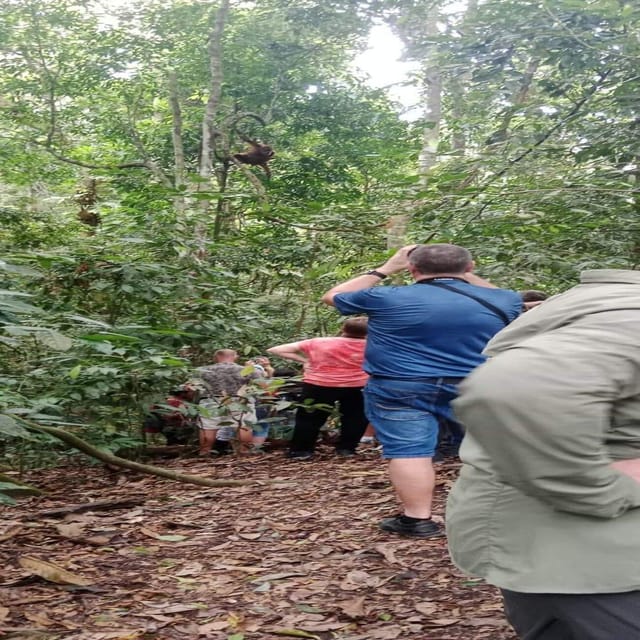 Bukit Lawang: Wild Orangùtan Adventurers - Frequently Asked Questions