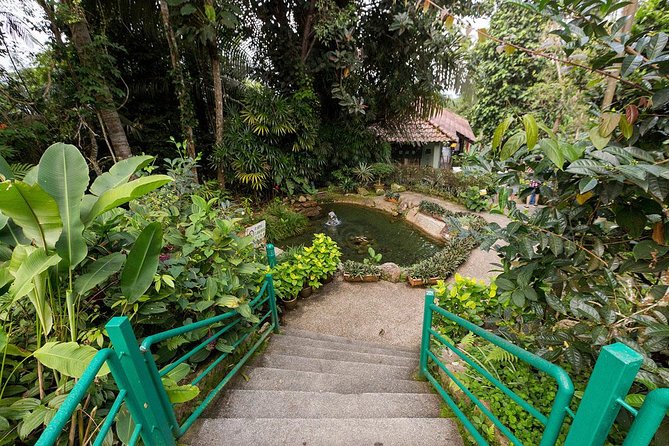Bukit Tinggi French Village Tour Review - Highlights of the Tour