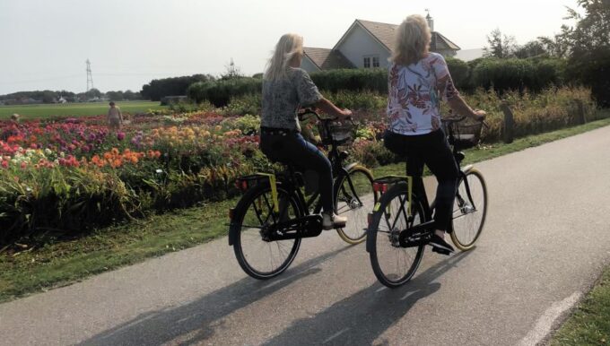 Bulb Region: Dahlias Bicycle Tour - Feedback and Review