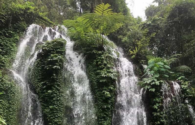 Buleleng Hidden Gems: Waterfall Tour - Pickup and Drop-off Locations