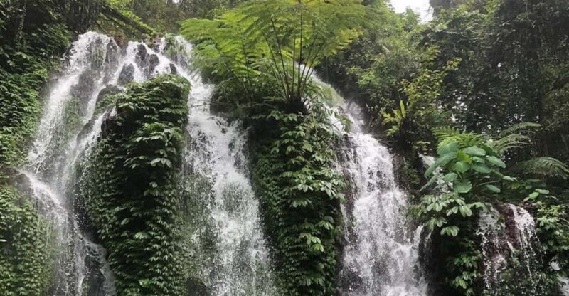 Buleleng Hidden Gems: Waterfall Tour - Waterfall Options