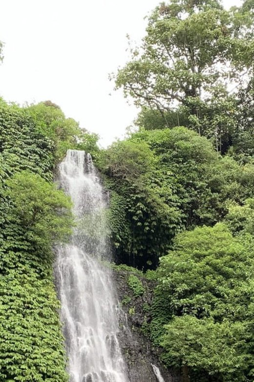 Buleleng Hidden Gems: Waterfall Tour - Inclusions and Experience