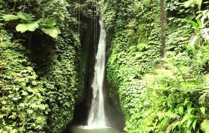 Buleleng Hidden Gems: Waterfall Tour - Inclusions and Private Experience
