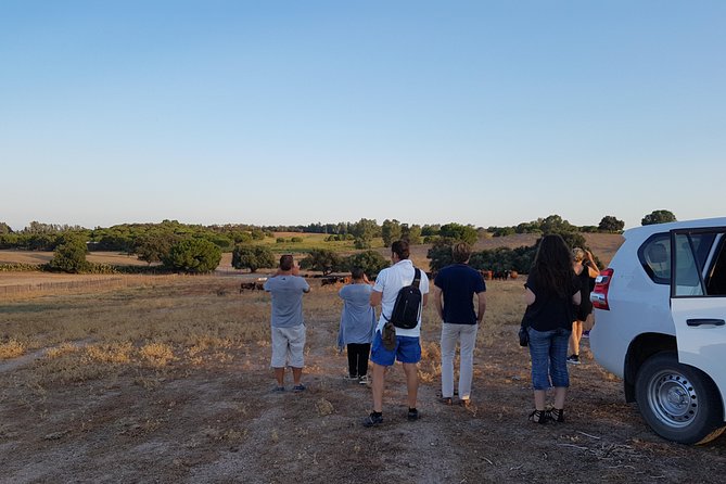 Bull Breeding Farm: Guided Half-Day Tour From Seville - Accessibility and Participation
