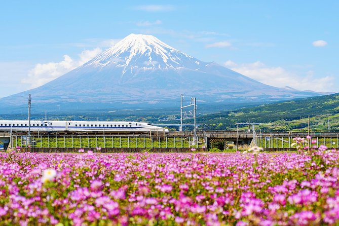 Bullet Train and Mt. Fuji Famous Food Tour - Tour Requirements and Accessibility