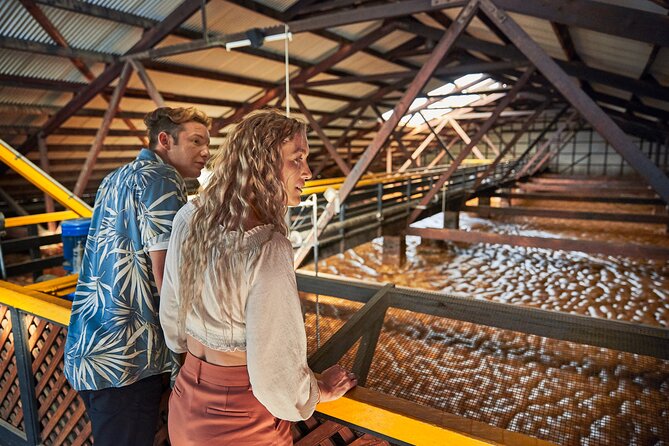 Bundaberg Rum Behind The Scenes Distillery Tour And Museum Experience - Tour Timing and Departure
