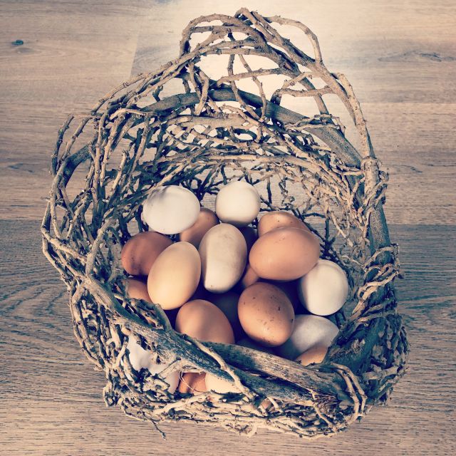 Bundaberg: Splitters Farm Private Guided Tour - Experience Highlights