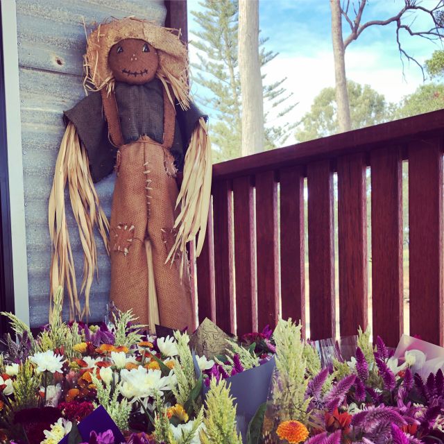 Bundaberg: Splitters Farm Private Guided Tour - Recap